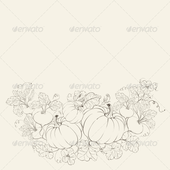Pumpkins Autumn Harvest Pumpkins Autumn Harvest