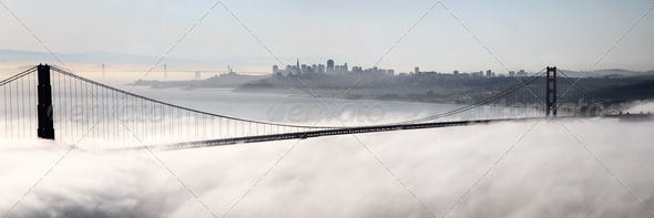 San Fransisco Skyline