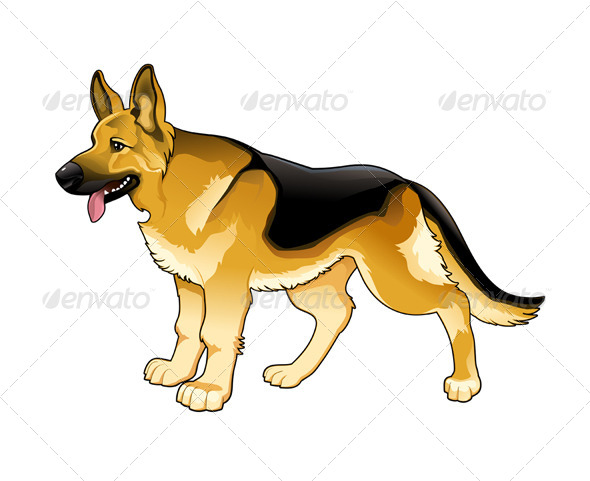 German Shepherd German Shepherd