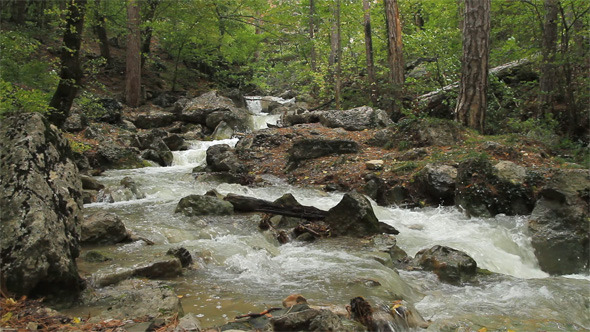 Stream on Mountain River Stream on Mountain River