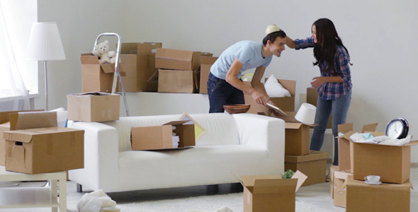 Move-Ins Move-Ins