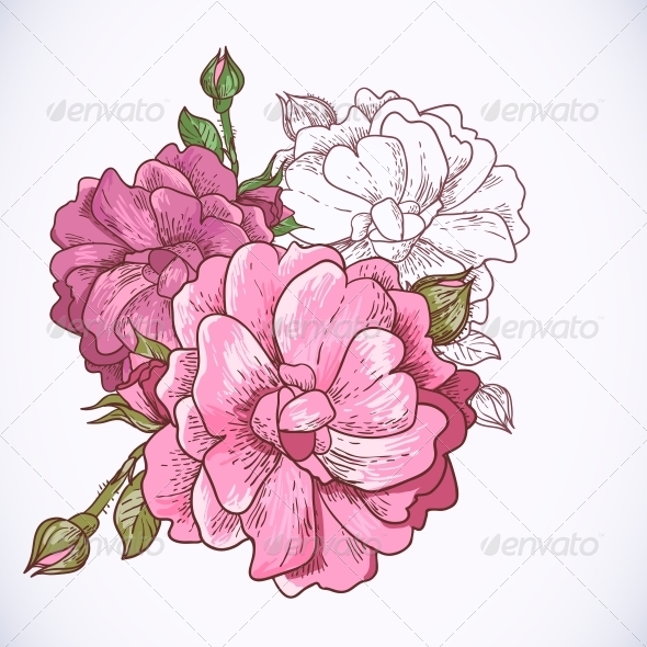 Rose Background Rose Background