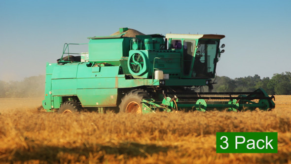 Harvesters In A Golden Field 3-Pack Harvesters In A Golden Field 3-Pack