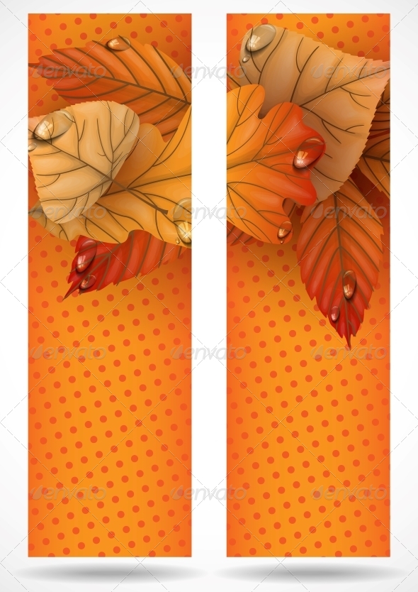 Autumn Sale Autumn Sale