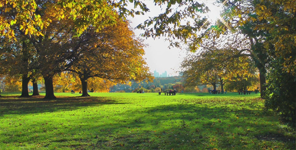 Park View Park View