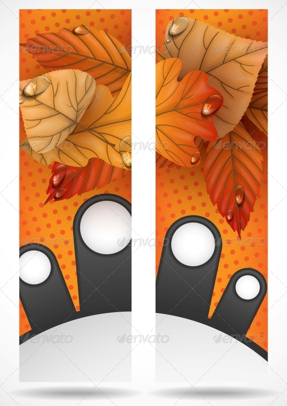 Autumn Sale Autumn Sale