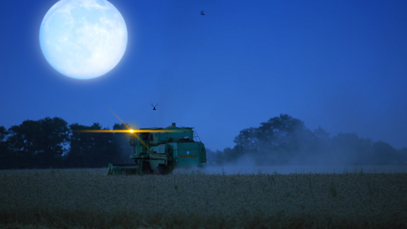 Night Harvesting Night Harvesting