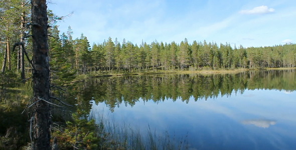 Lake Lake