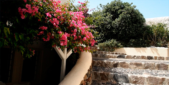 Ascension On A Stone Ladder Ascension On A Stone Ladder