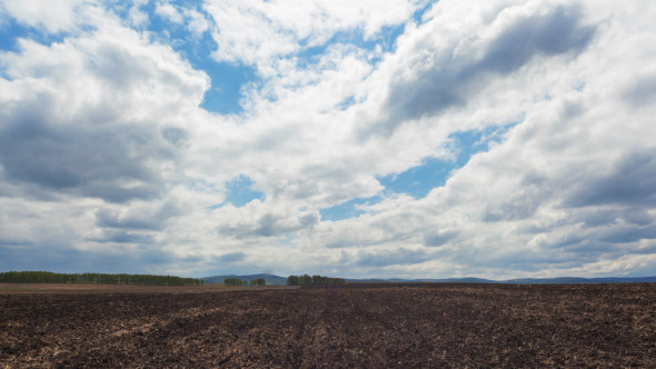 Plowed Field 4 pack Plowed Field 4 pack