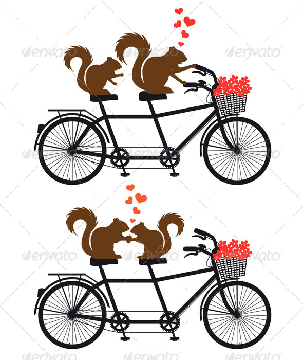 Squirrels In Love on Bicycle Squirrels In Love on Bicycle