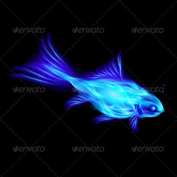 Fire Fish Fire Fish