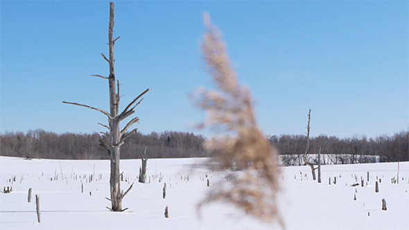 Snowy Landscape 4 Snowy Landscape 4