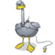 GreySwanFusion