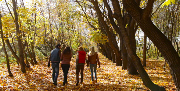 Autumn Park Leisure Autumn Park Leisure
