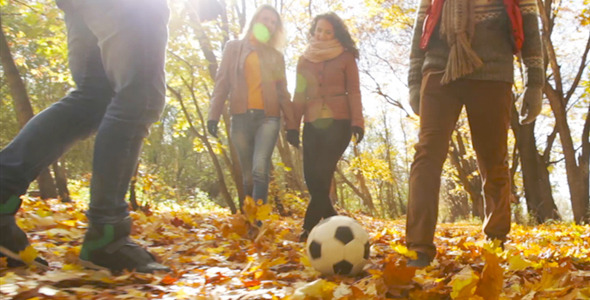 Football On Leaves Football On Leaves