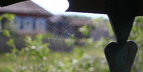 Spider Web Country House 2 Spider Web Country House 2