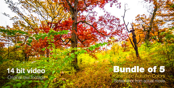 Cinematic Autumn Colors Cinematic Autumn Colors