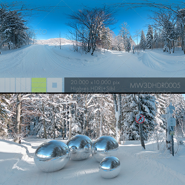 MW3DHDR0005 Snowy Winter Scene in the Forest MW3DHDR0005 Snowy Winter Scene in the Forest