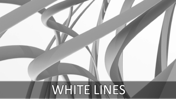 White Lines White Lines