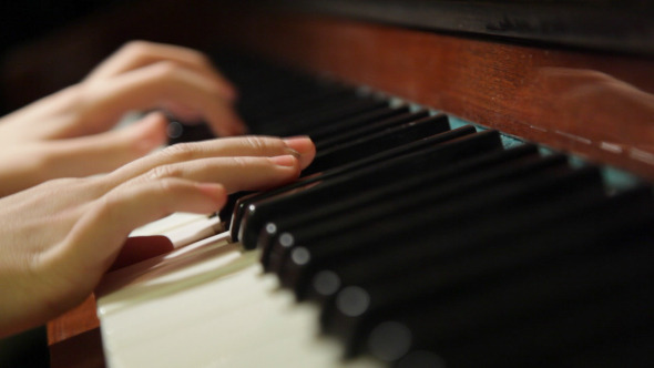 Fingers Pianist Fingers Pianist