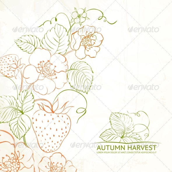 Strawberries Brunch Strawberries Brunch