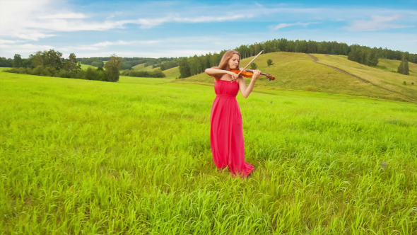 Violinist on a Green Meadow Violinist on a Green Meadow
