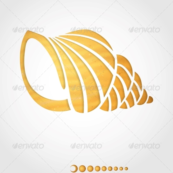 Summer Background Seashell Summer Background Seashell