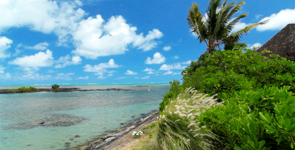 Ocean Landscape Ocean Landscape