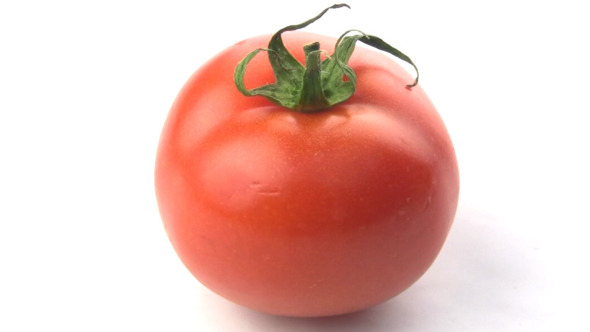 Tomato Tomato