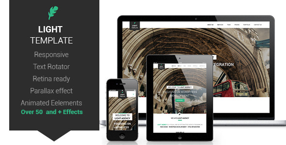 Light Responsive Retina Ready One-Page Template