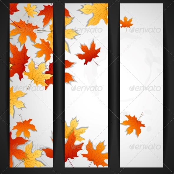 Autumn Leaves Background Autumn Leaves Background