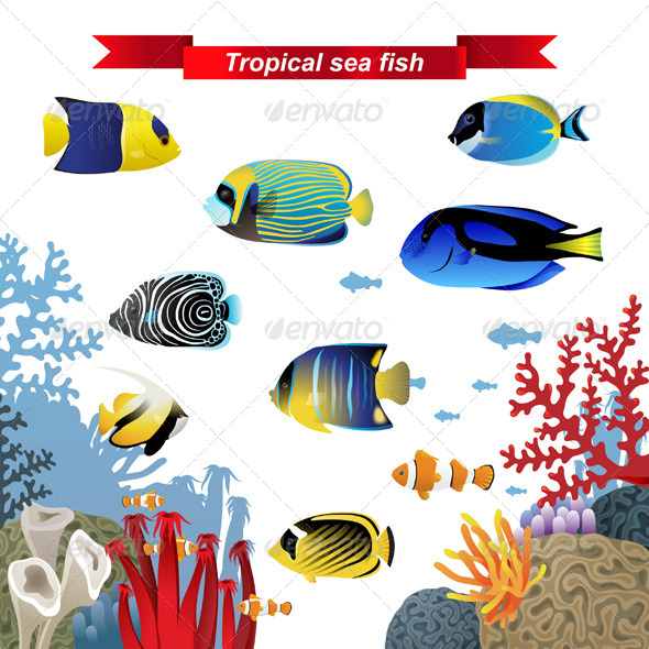 Coral Reef Fishes Coral Reef Fishes