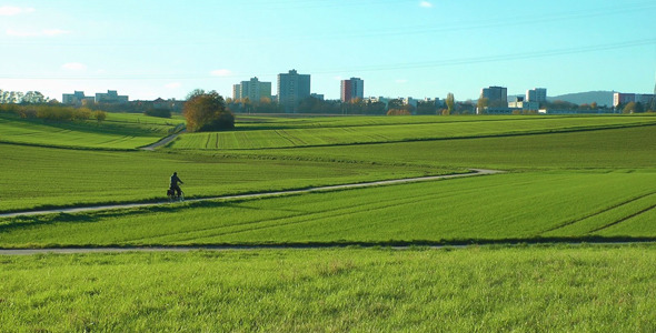 Man Riding Bicycle In The Nature Man Riding Bicycle In The Nature