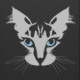 CatFaceAudio
