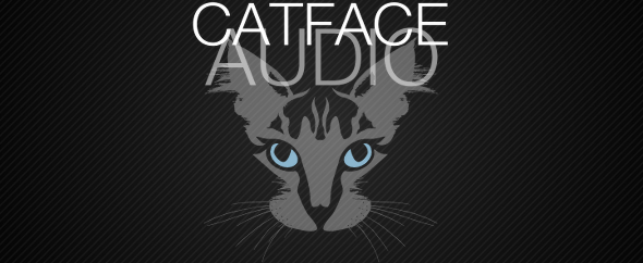 CatFaceAudio
