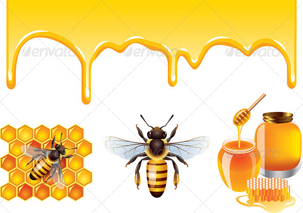 Bee Vector Set Bee Vector Set