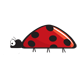 ladybirdweb