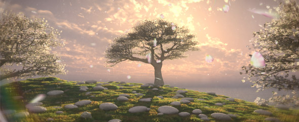 Vpmax2007