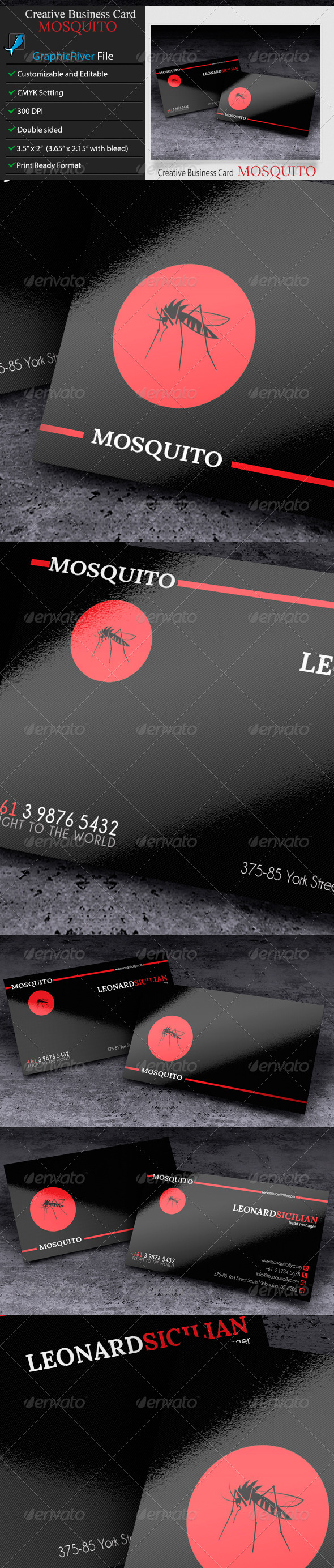 Creative or Corporate Business Card Mosquito Creative or Corporate Business Card Mosquito