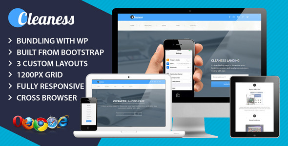 Cleaness Responsive Business Landing Page