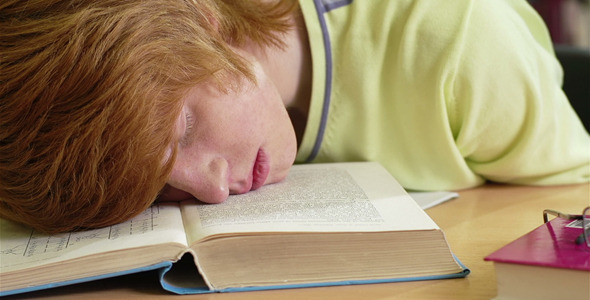 Sleeping Student Sleeping Student