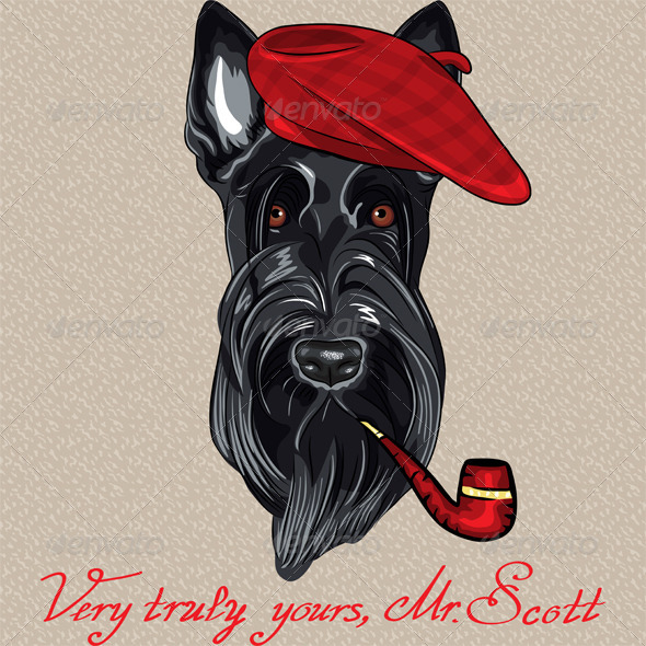 'Graphicriver