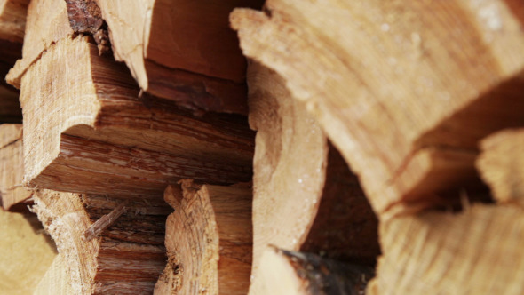 Firewood Firewood