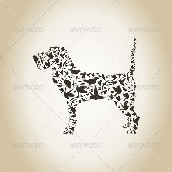 Dog a Bird Dog a Bird