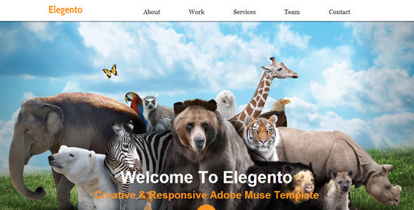 Elegento - Multi-Purpose One Page Muse Template