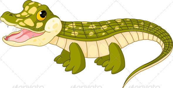 Baby crocodile Baby crocodile