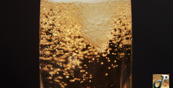 Champagne Bubbles Champagne Bubbles