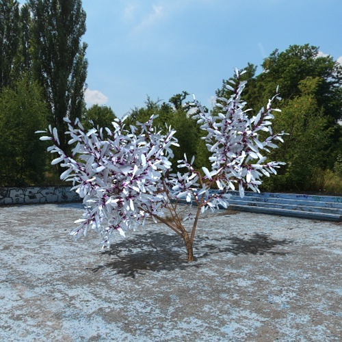Bush - 3DOcean Item for Sale