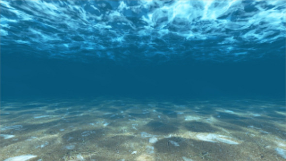 Underwater Underwater